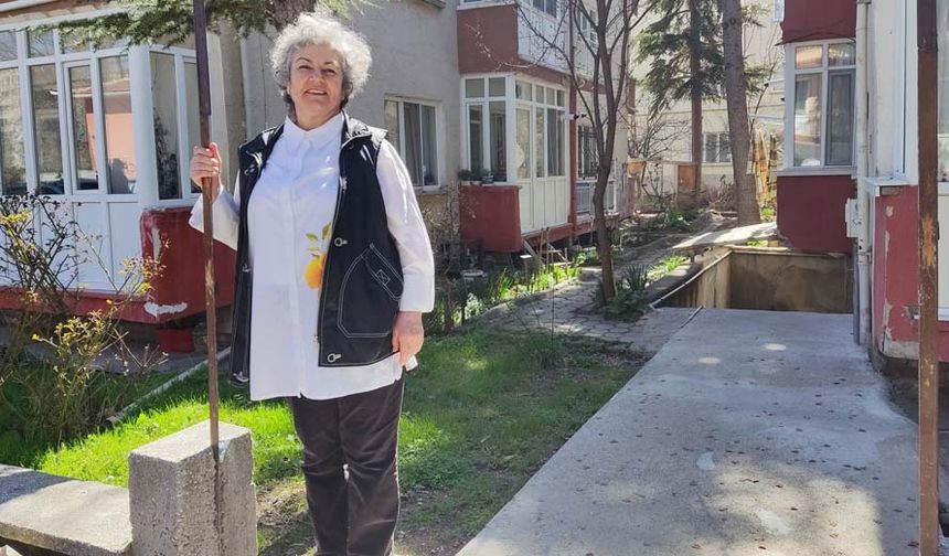Hırsızlar; site alanı içerisindeki demir kapı, çitler için destek olarak kullanılan kazık, bodrum pencerelerini koruyan ızgaralar ve doğal gaz kutusunu muhafaza eden telleri çaldı. Hırsızlık esnasında bahçeye ve site çevresinin de zarar gördüğünü söyleyen mahalle sakinleri, can güvenliklerinden endişe ettiklerini belirtti. Vatandaşlar durumla ilgili emniyete de şikâyette bulunduklarını kaydettiler.