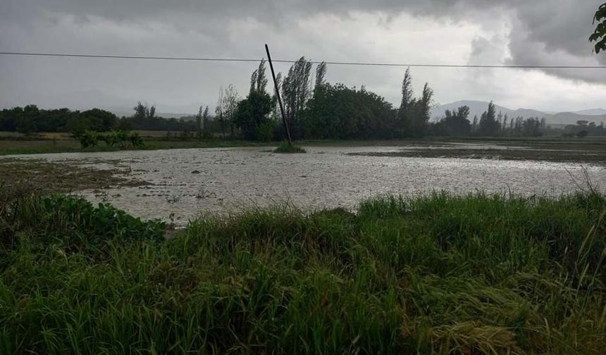 Yağmurun ardından başlayan dolu yağışı tarım arazilerini olumsuz etkiledi.