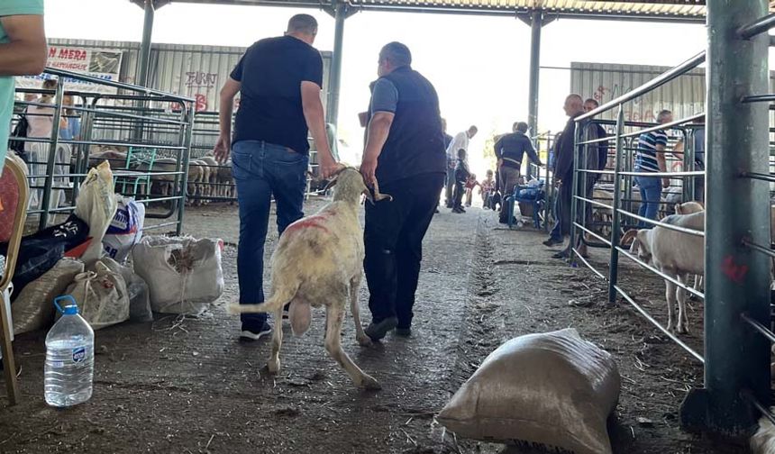Kesim için sıra bekleyen vatandaşların da hayvanları araçlarına yükleyerek götürdüğü görüldü.