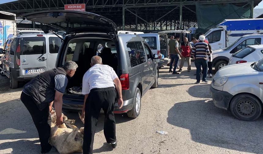 Fiyatlarda bayram öncesinde göre çok fazla bir değişkenlik yoktu. Hayvan Pazarında yoğunluk da yok değildi.