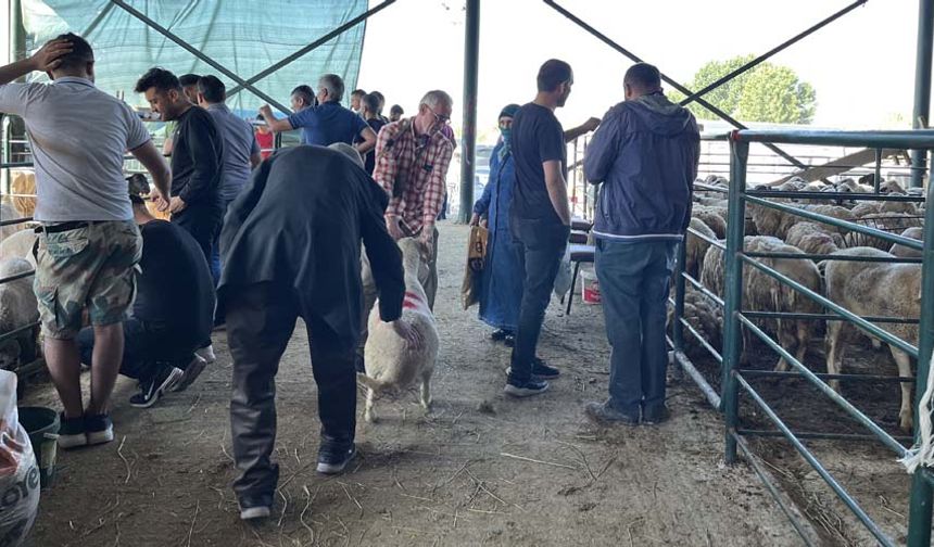 Eskişehir'de kurban edecekleri hayvanları satın alma işlemini Kurban Bayramının ilk gününe bırakanlar umduğunu bulamadı.