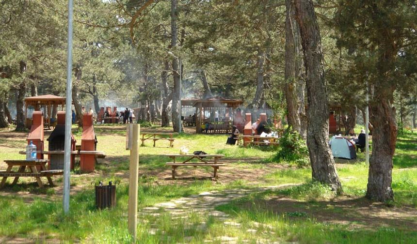 Eskişehir'e sadece 80 kilometre uzaklıktaki tabiat parkı hem piknikçileri hem de yürüyüş için gelen misafirleri ağırlarken, kimi ziyaretçilerde özel günlerini tabiat parkında kutluyor.