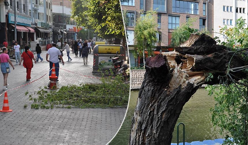 Eskişehir'de facianın eşiğinden dönülen olayda ciddi bir yaralanma olmaması teselli kaynağı olurken, vatandaşların hiçbir şey olmamış gibi gondola binip tur atmaya devam etmesi şaşkınlığa neden oldu.