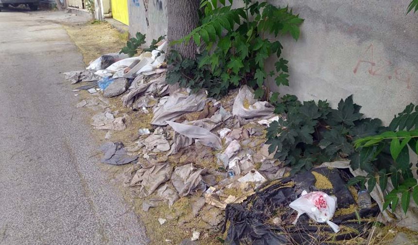 Çevre kirliliğiyle ilgili rahatsızlığını ifade eden Eskişehirli Zeynep Bala, “Mahallemize atılan çöplerden dolayı rahatsızlık duyuyoruz. Bu sokaktan her gün yüzlerce vatandaş geçiyor. Bu sokaktaki manzarayı gördükleri zaman rahatsızlık duyuyorlar.