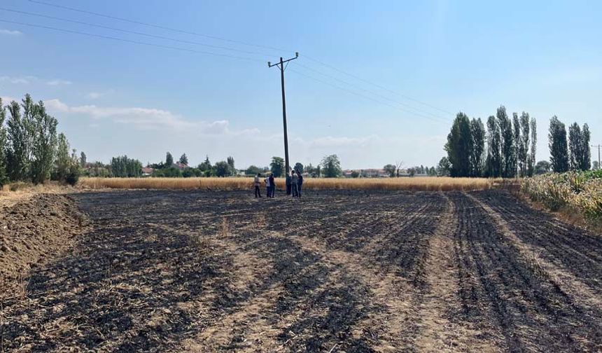 Konu ile ilgili bilgi veren Tepebaşı İlçe Tarım Müdürü Zeki Sert, "Yaklaşık 60 dönüm hububat ekili alanımız zarar gördü. Tam da hasat döneminde meydana gelen bu zarar hepimizi üzdü. İlçe tarım müdürlüğü tarafından tespit çalışmalarımız tamamlandı.