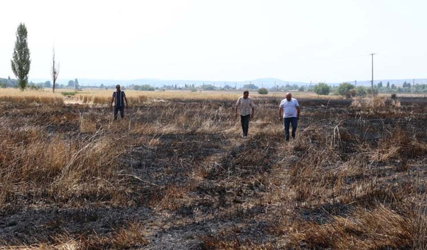 Elektrik tellerine çarpak alev alan kuş yere düşünce ekili arazide de yangının başladığı ifade edildi. Başlayan yangın arazi sahipleri, jandarma ve itfaiye ekiplerinin müdahaleleri sonucu söndürüldü. Olayın ardından Tepebaşı İlçe Tarım Müdürlüğü tarafından inceleme başlatıldı.
