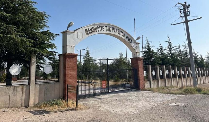 Milyon lira harcanarak inşa edilen at hastanesinin de diğer hipodromlarla aynı ölçü ve ebatlarda olduğunun belirten yetiştiriciler, kompleksin faaliyete geçmesinin başta turizm olmak üzere birçok konuda bölgeye katkı sağlayacağını iddia edildi.