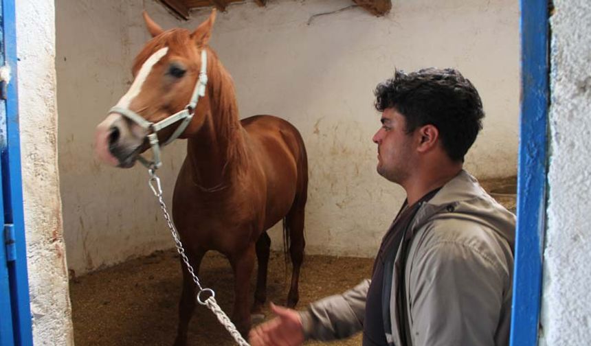Mahmudiye’de yaklaşık 100 yıldır hipodrom olarak kullanılan, Türkiye Jokey Kulübü’ne (TJK) ait Mahmudiye TJK Pansiyon Hara alanında 2 bin metre kum pist ve 2 bin metre çim pist bulunuyor. Bahse konu TJK’ya ait kompleksin içerisinde 8 milyon liraya mal olmuş bir de at hastanesi bulunuyor.