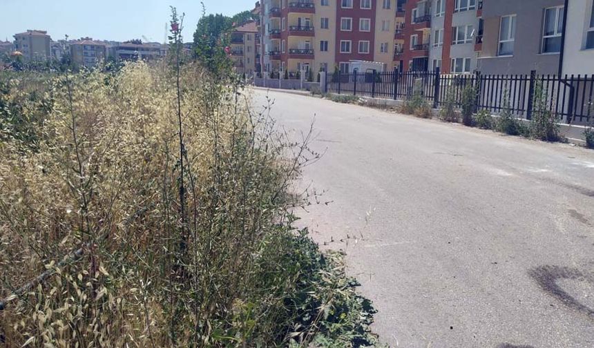 Temizlenmeyen otlar trafik kazalarına davetiye çıkarırken, çevrede kötü görüntüye de sebep oluyor. Bölgede oturan vatandaşlar, konuyla ilgili rahatsız olduğunu belirterek kanal boyu uzayan otların yılan gibi hayvanlara yaşam alanı oluşturabileceğini de ifade etti.