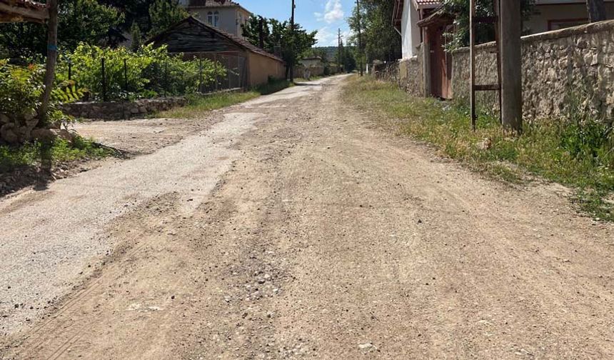 Eskişehir Büyükşehir Belediyesi 2 sene önce burada kanalizasyon çalışması yaptı. Belli bir süre boyunca tuvalet konusunda problemler yaşayan bölge halkı bu defa da asfalt mağduru oldu. Kazılan yollara bir türlü asfalt dökülemedi.