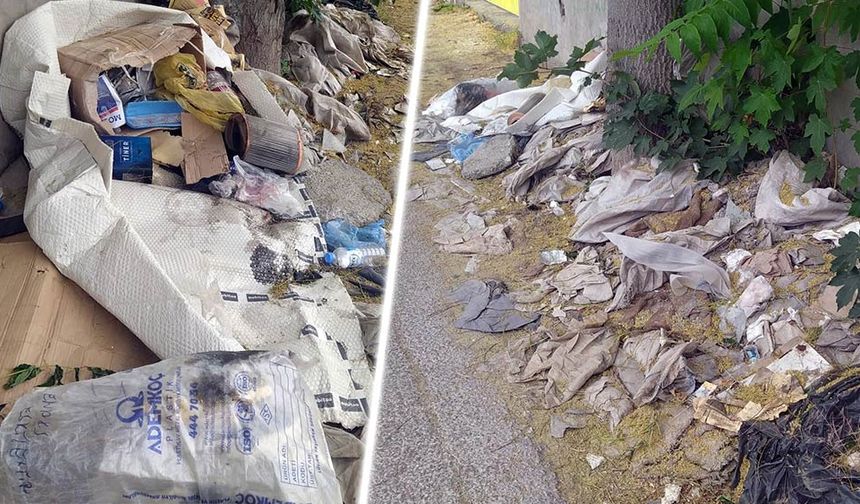 Kurtuluş Mahallesi Taşlıca sokak üzerindeki çöpler çevre kirliliği oluşturuyor. Porsuk Nehrine yakın yol kenarındaki çöplerin acilen temizlenmesi gerekiyor.