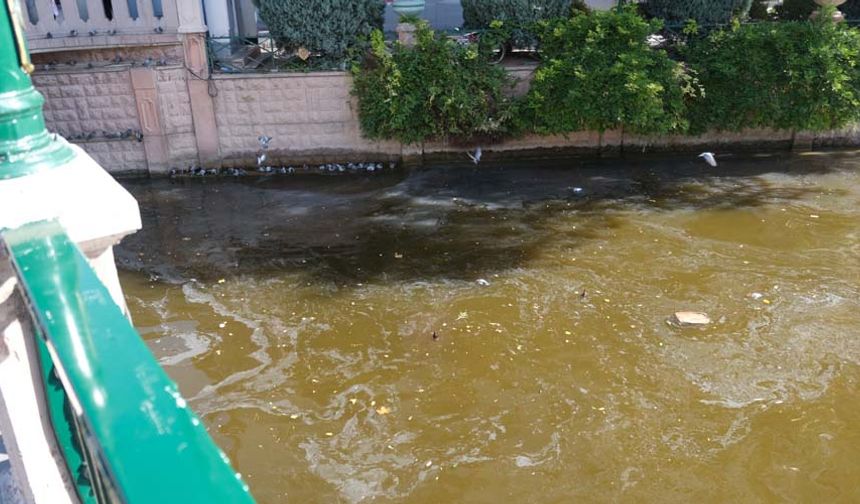 Bu durumdan rahatsızlık duyduğunu belirten vatandaş ise Porsuk Çayı'nda daha sık temizlik yapılması gerektiğini belirtti.