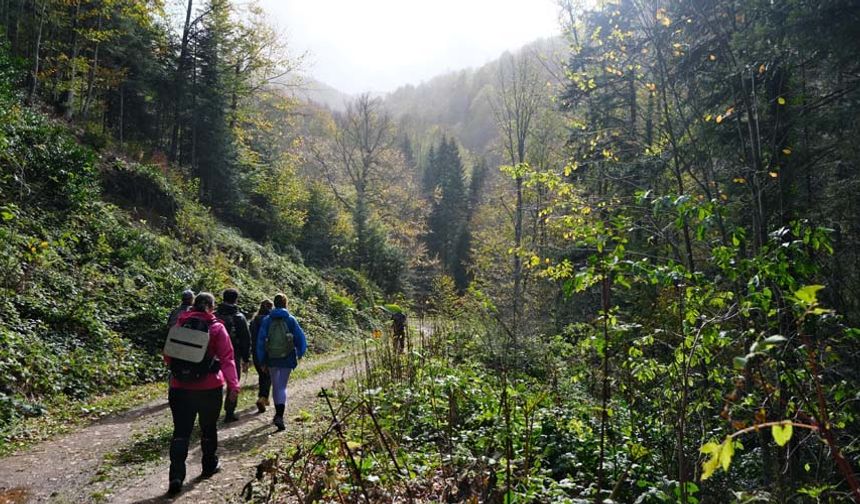 Eskişehirli doğa yürüyüşü tutkunları kente yaklaşık 85 kilometre uzaklıktaki Bursa’nın Mezitler Mahallesi’ndeki ormana yürüyüşe gitti.