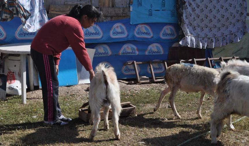Eskişehir'in Odunpazarı İlçesi’ne bağlı Aşağı Çağlan Mahallesi’nde yaşayan Fatma Demirtaç, uzun yıllar boyunca babasıyla birlikte hayvancılıkla uğraştı.