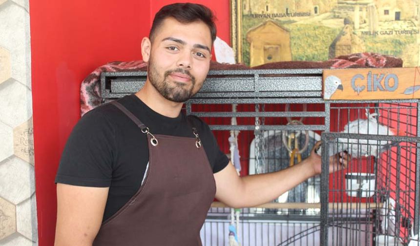 Türkiye'de gri papağan olarak da bilinen Jako türünden olan ‘Çiko', lokantada ilgi çekici hareketler yapıyor. 5 yıldır ‘Çiko'yu besleyen Ünal Döken, papağının lokantada yemeklerin ismini saydığını ifade ederken, çevreden duyduğu kelimeleri de kısa sürede tekrarlayabildiğini söyledi. Lokantaya gelen müşterilerin ‘Çiko'yu ilk gördüklerinde çekindiklerini, ancak sevimli papağanı zaman geçtikte sevdiklerini belirten Döken, dışarı gezmeye çıktığında onu da yanında götürdüğünü günlük bakımından bahsetti.