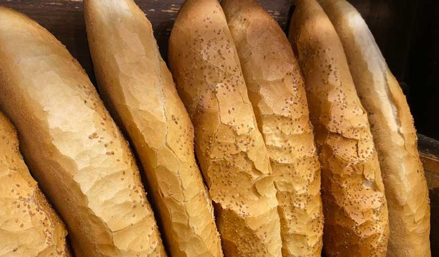 Eskişehir'de Ekmek Fiyatlarındaki Talep: Ticaret Bakanlığı'ndan Beklenen Karar