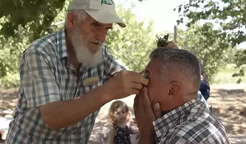 Ameliyatsız Görme Kusurlarından Kurtulmak Mümkün mü? "Gözlük Kırdıran Ot" Tartışılıyor