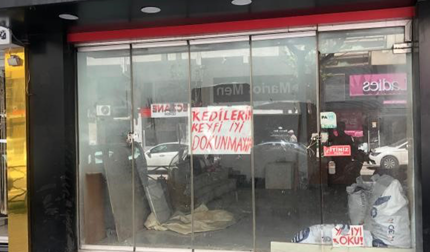 Eskişehir’de Kedili Dükkan Tartışması Camdaki Notlar Gündem Oldu
