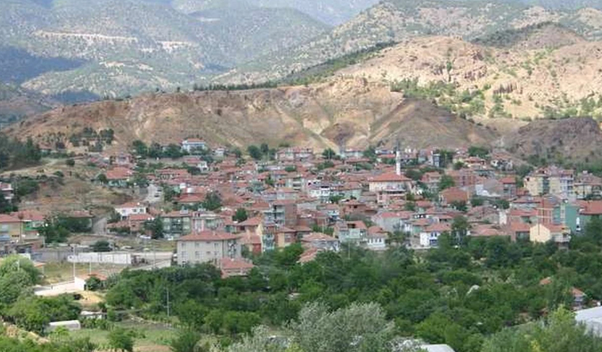 Eskişehir'de O İlçe Kavruluyor Sıcaklık 50 Dereceyi Gördü