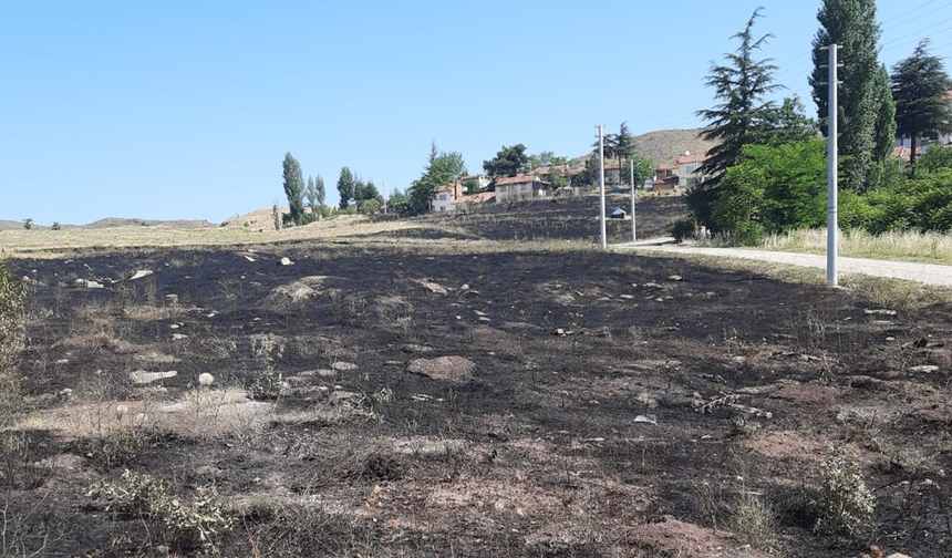 Eskişehir’de Torpil Atılan 15 Dönümlük Arazi Küle Döndü