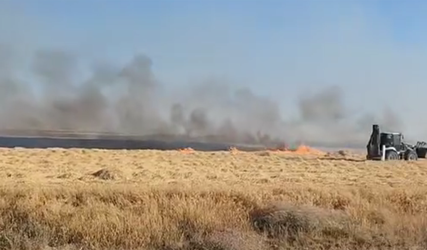 Eskişehir’de Binlerce Dönüm Arazi Alevlere Teslim Oldu
