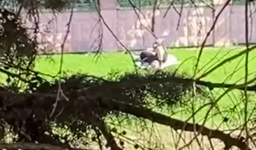 Eskişehir Kanlı Kavak’ta Yine Uygunsuz Görüntü Vakası