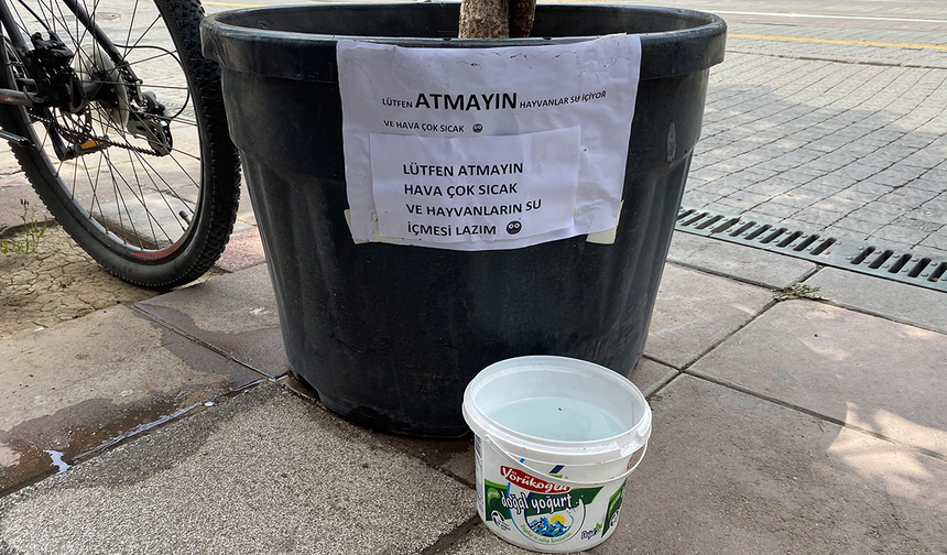 Eskişehir’de Hayvanseverin Notu Yüzleri Güldürdü