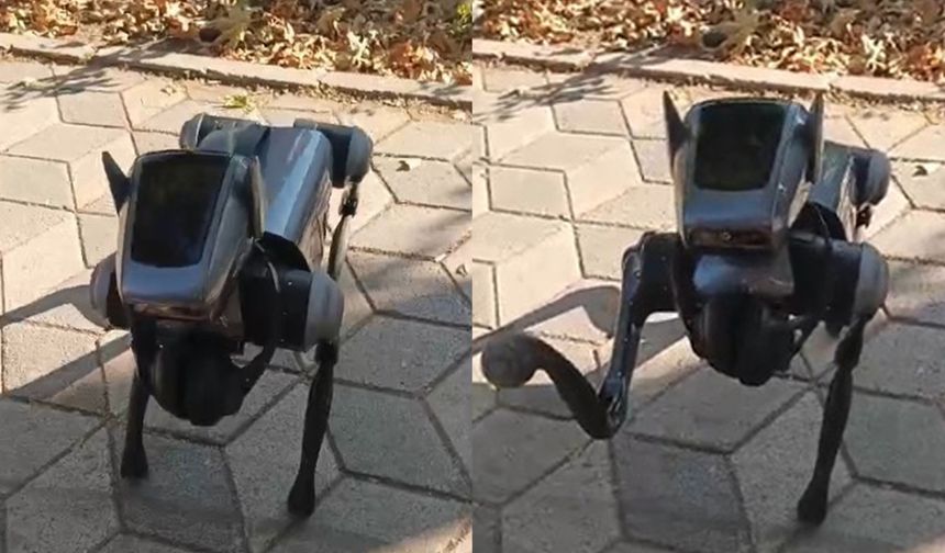 Eskişehir Kent Merkezinde Robot Köpek Görenleri Şaşırttı