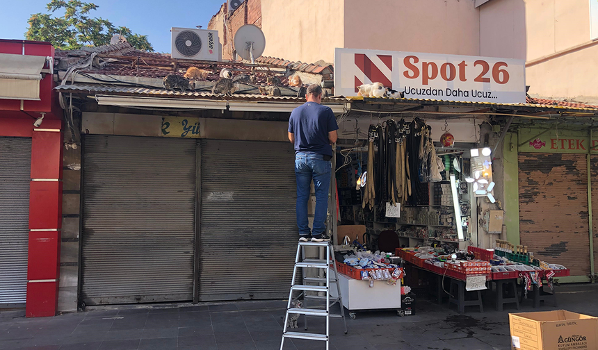 Eskişehirli Esnaf Minik Dostları İçin Her Gün Çatıya Çıkıyor