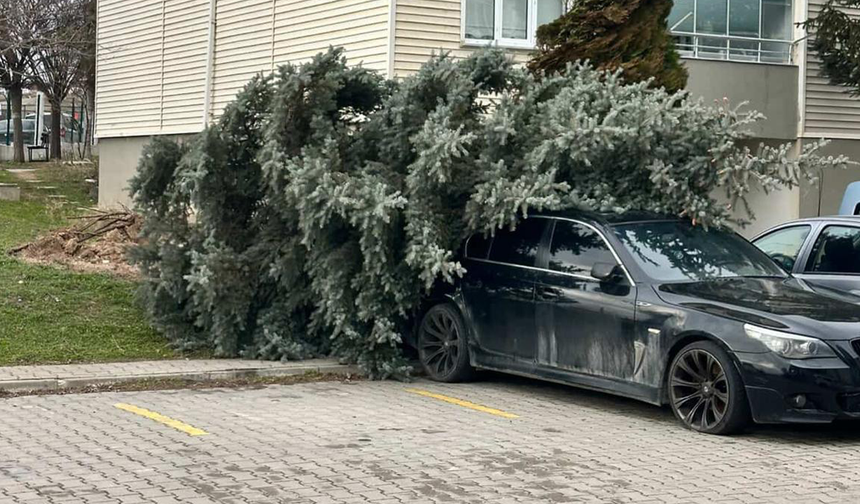 Eskişehir’de Fırtına Sonrası Hasar Gün Yüzüne Çıktı!