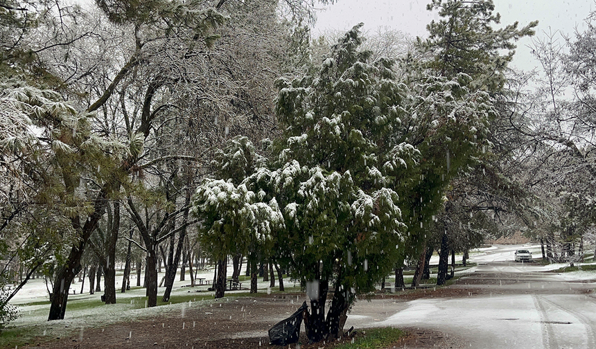 Eskişehir’de Sabah Saatlerinde Yağan Kar Görsel Şölen Sundu!