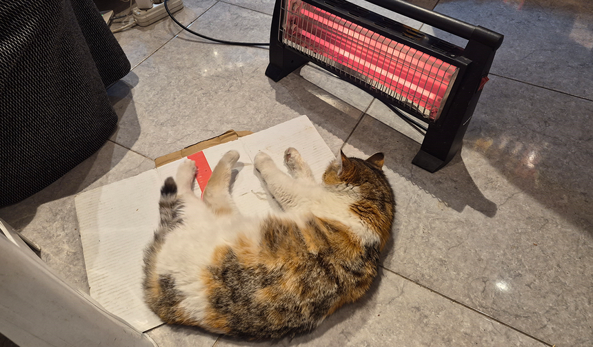 Eskişehir’de Soğuk Havada Yürek Isıtan Görüntü!