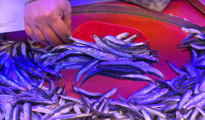 Eskişehir’de Hamsi Fiyatlarındaki Düşüş Satışları Patlattı!