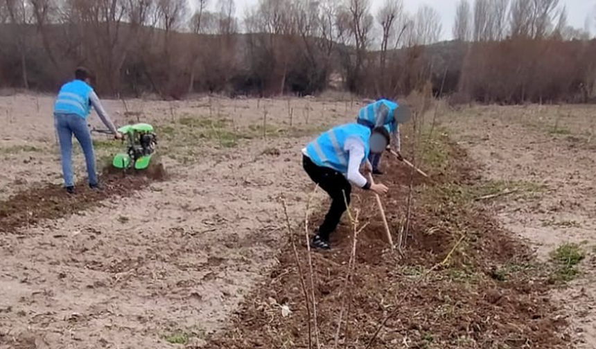 Eskişehir’de Denetimli Serbestlik Yükümlülerinden Doğaya Katkı!