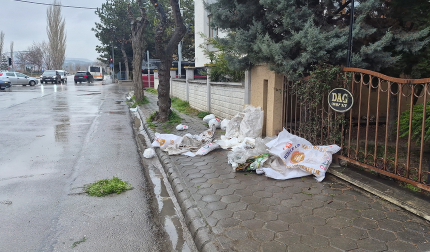 Eskişehir'de Pes Dedirten Görüntü! Sokağı Çöplüğe Çevirdiler