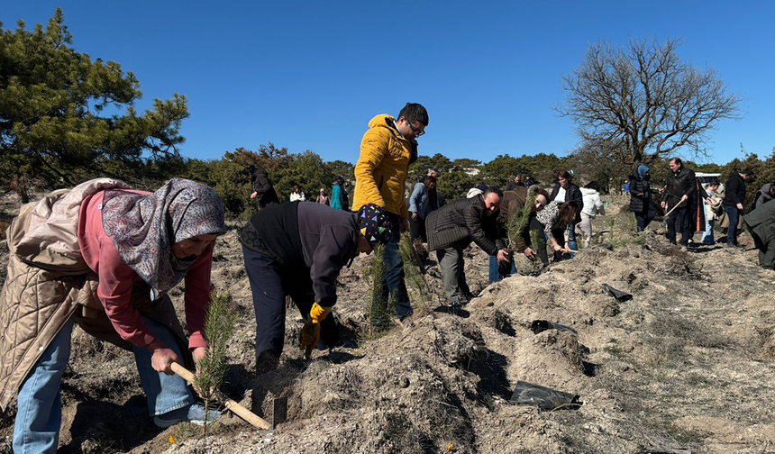 Eskişehir’de Tıp Bayramı’nda Fidanlar Toprakla Buluştu!