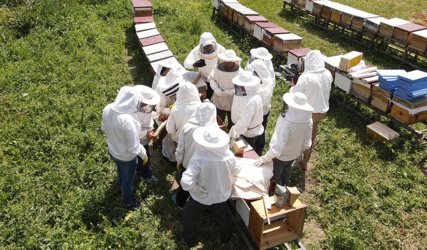 Eskişehir’de Yüzlerce Kişinin Katılımıyla Arıköy Projesi Başladı!