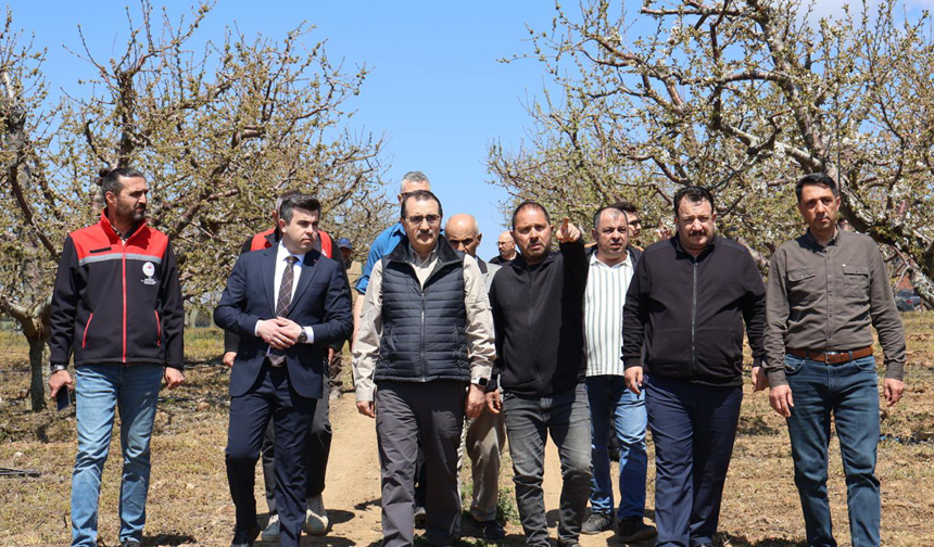 AK Parti Eskişehir Milletvekili Dönmez: Bu Sezon Toprağımızdan Umudumuz Büyük!