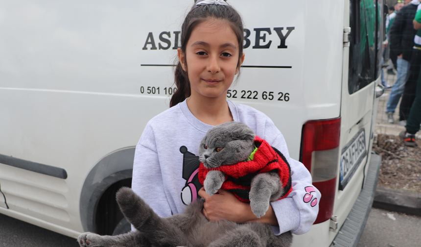 Es Es Tribünlerinin Maskotu Olmuştu! Taraftar Kediden Bursaspor'a Destek!