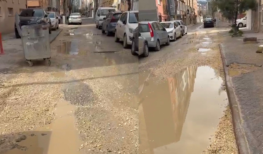 Eskişehir Tepebaşı’nda Sokakların İçler Acısı Hali