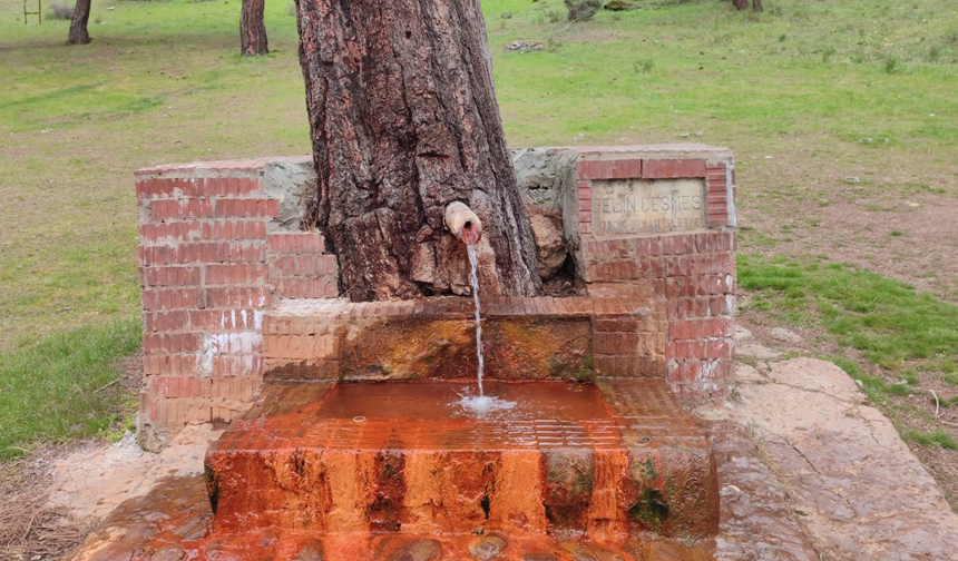 Eskişehir’de Bu Çeşmeden Doğal Maden Suyu Akıyor!