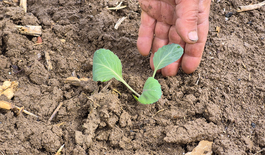 Eskişehir’de Çiftçiler Yılın İlk Tohumlarını Toprağa Ekti!