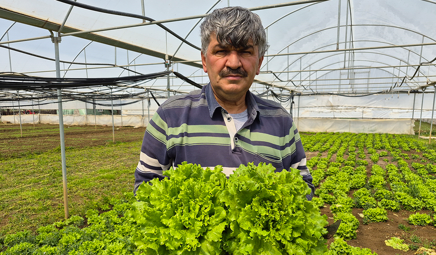 Eskişehir’de Fark Dudak Uçuklatıyor! Marul 15’ten 100 TL’ye Çıkıyor