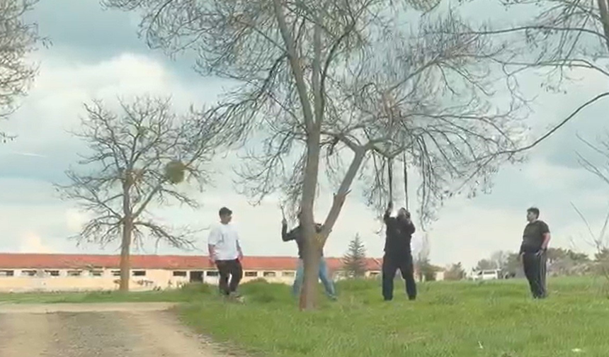 Eskişehir’de Mangal İçin Ağaç Dalını Kırmaya Çalıştılar!