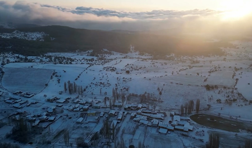 Eskişehir’de Bir Mahalle Bahar Ayında Beyaza Büründü!