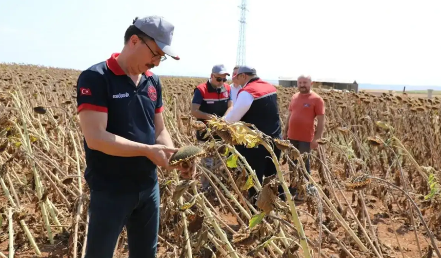 Eskişehir’de Kuraklık Masada! Su Ve Barajlar Değerlendirildi