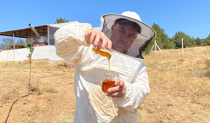 Eskişehir’de Üretilen Bu Bal Paris’ten Büyük Ödülle Döndü!