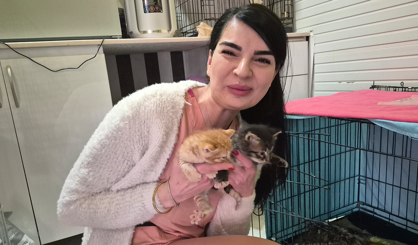 Eskişehir’de Yürek Isıtan Anlar! Hamile Kedi Kliniğe Sığındı