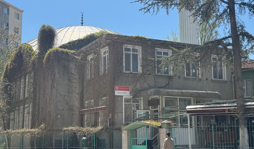 Eskişehir'in Sarmaşıklı Camisi Baharın Gelişiyle Renklendi!