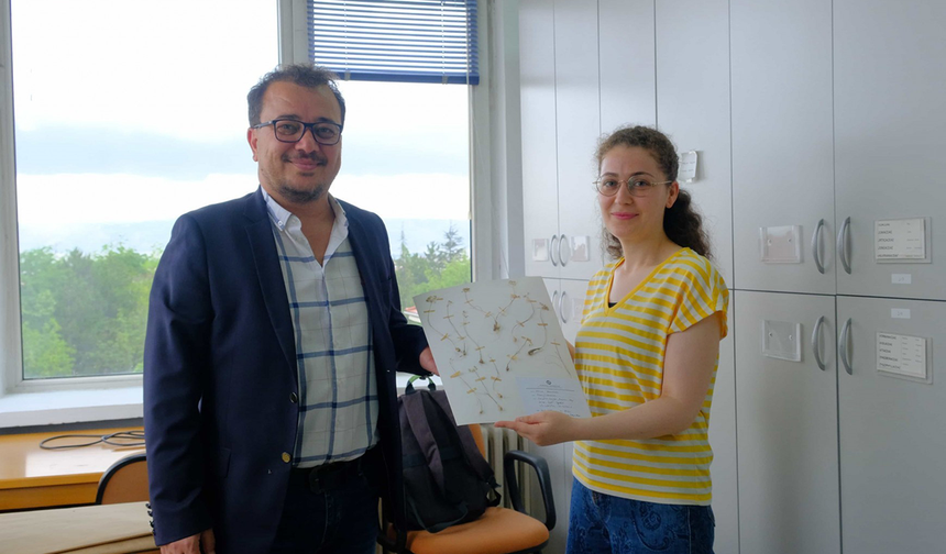 Anadolu Üniversitesi’nin Keşfi Dünya Literatürüne Girdi!